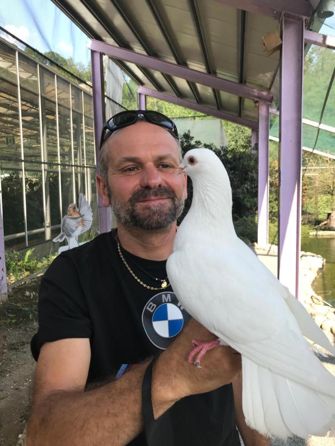 "Ai 4 Soli" Cermenate Bagian luar foto