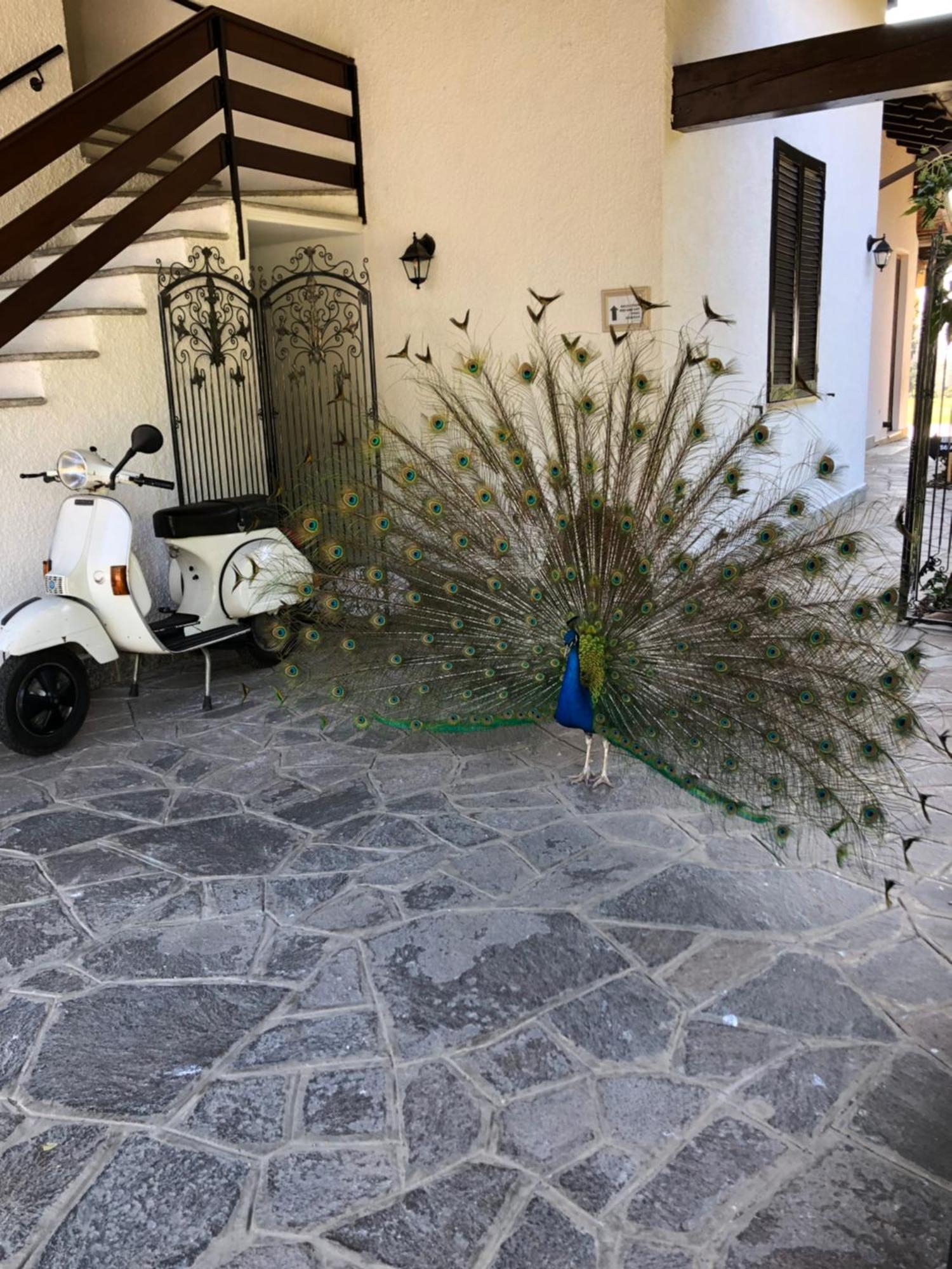 "Ai 4 Soli" Cermenate Bagian luar foto