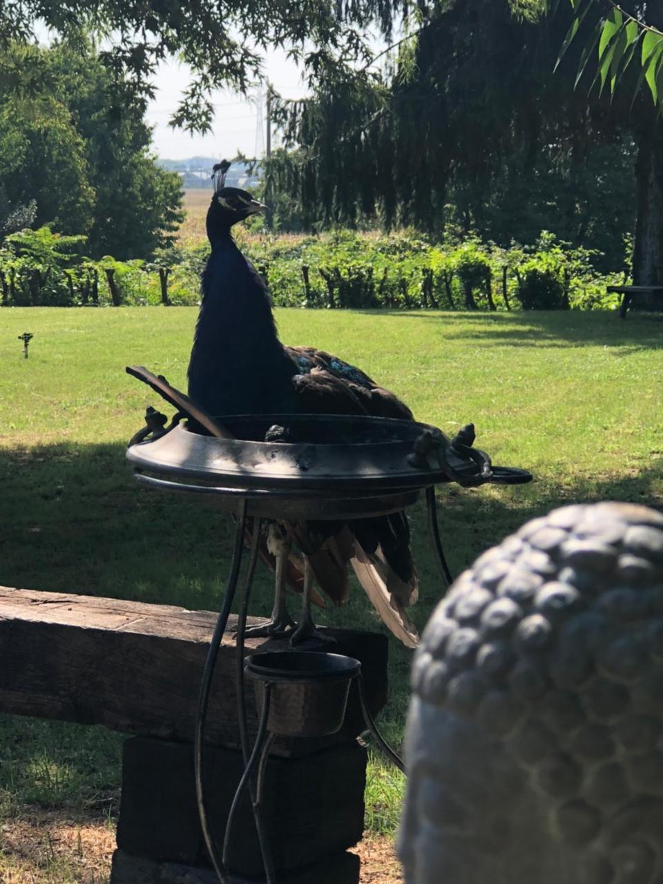 "Ai 4 Soli" Cermenate Bagian luar foto