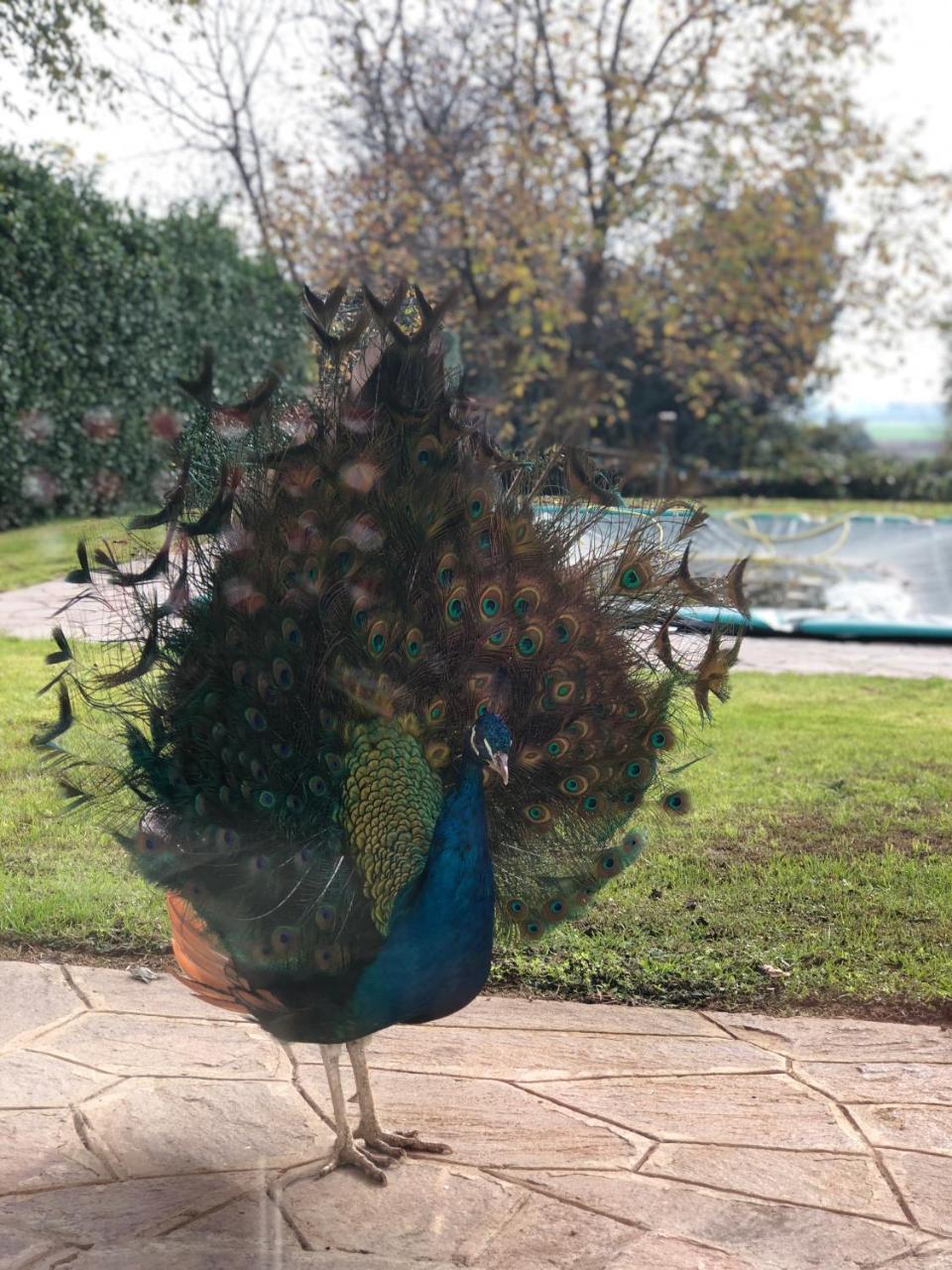 "Ai 4 Soli" Cermenate Bagian luar foto