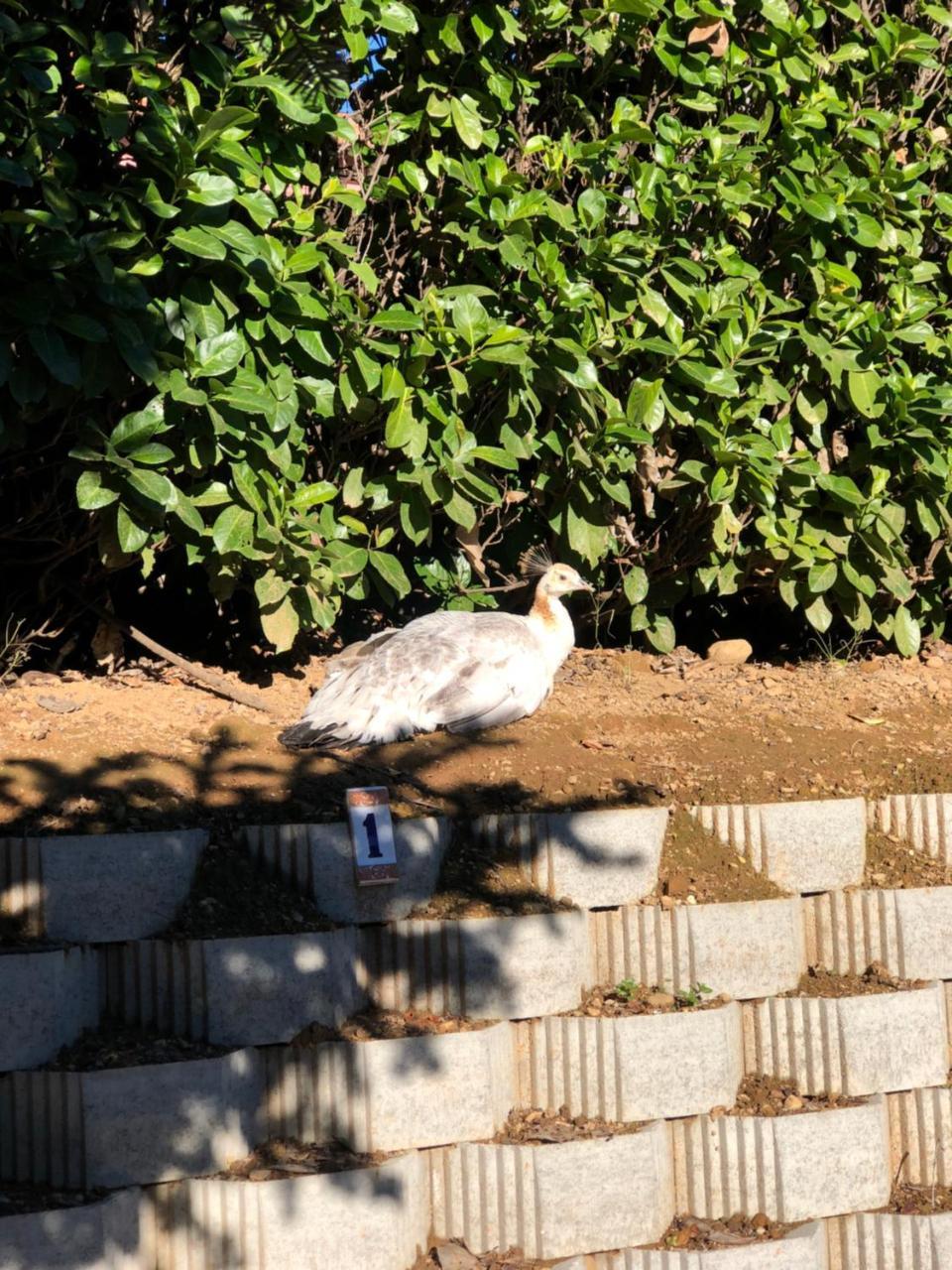 "Ai 4 Soli" Cermenate Bagian luar foto